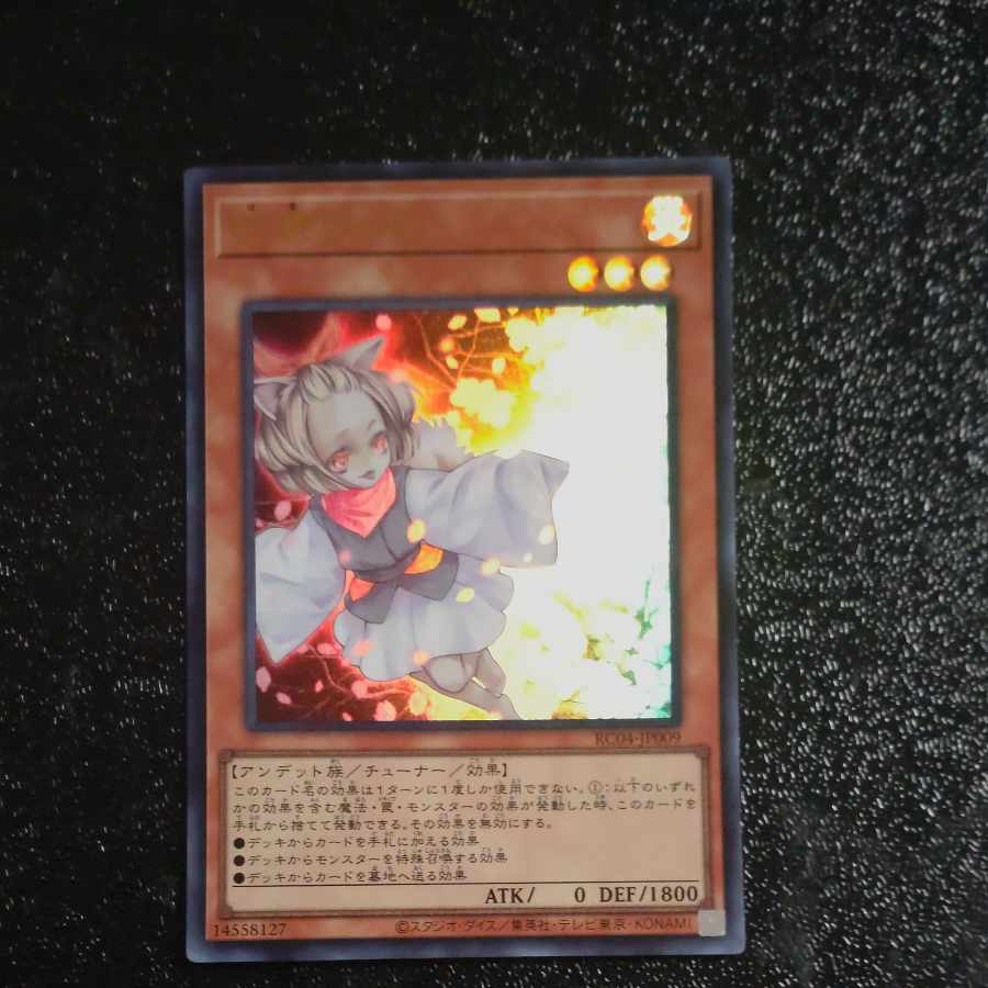 Ash Blossom & Joyous Spring Ultra Rare JP009 [Korindo