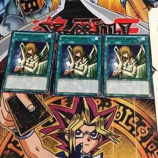 英語版 天使の施し 5 黒レア 3枚セット てら