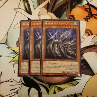 揺海魚デッドリーフ