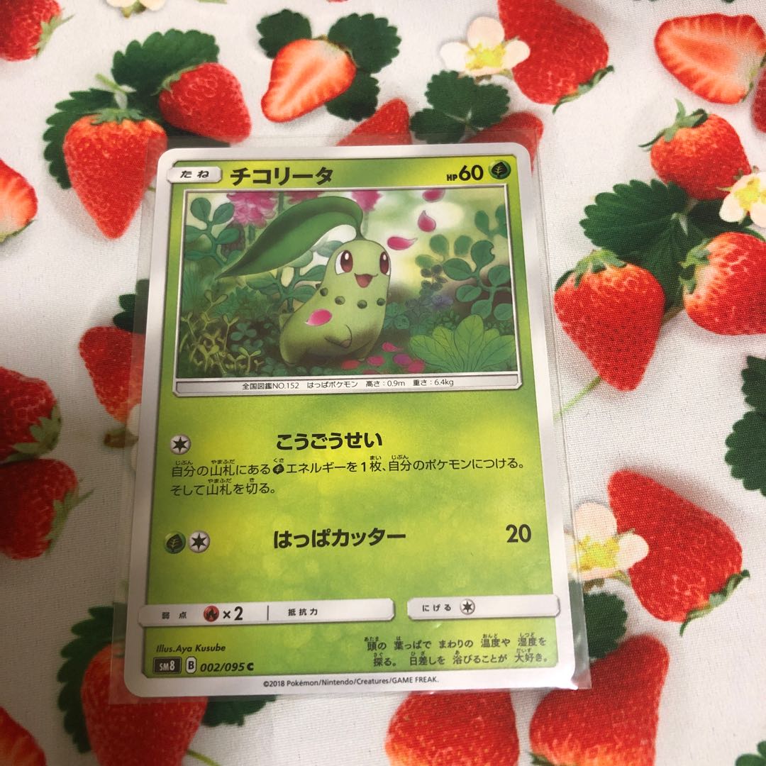 メガニウム R 005/095