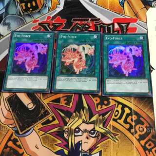 英語版 強制進化 1 スーパー 3枚セット てら