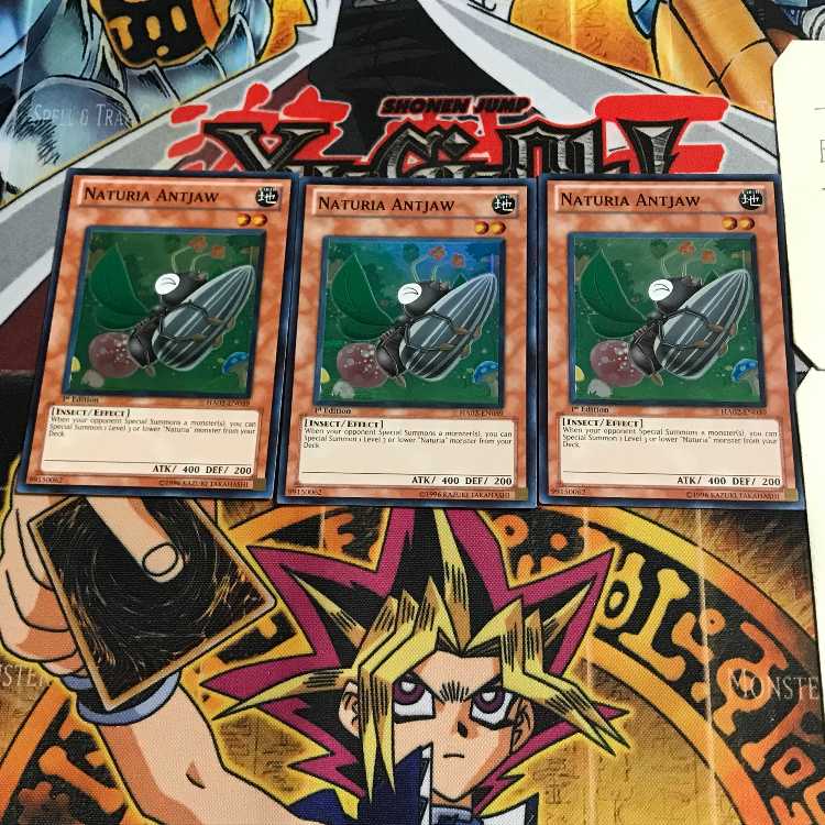 英語版 ナチュル・アントジョー 1 スーパー 3枚セット てら