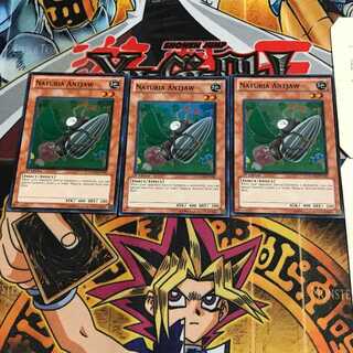 英語版 ナチュル・アントジョー 1 スーパー 3枚セット てら