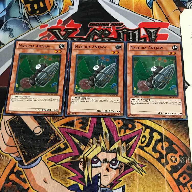 English Naturia Antjaw 2 Super Set of 3 Tera