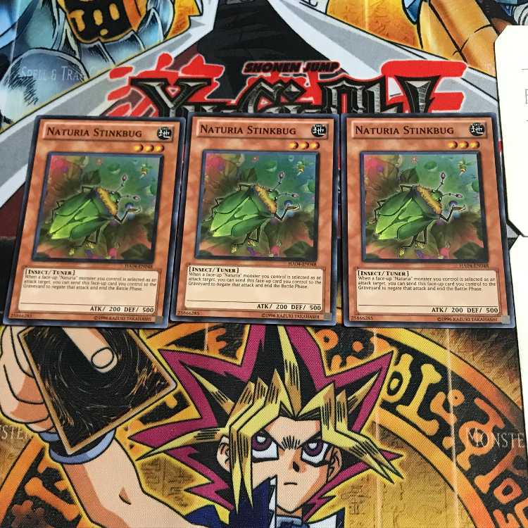 English Naturia Stinkbug 2 Super Set of 3 Tera