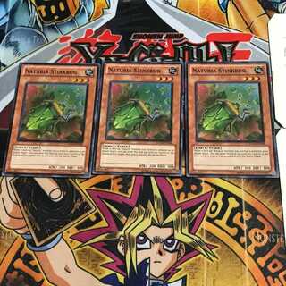 English Naturia Stinkbug 2 Super Set of 3 Tera