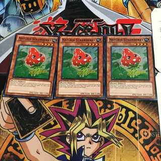 英語版 ナチュル・ストロベリー 1 スーパー 3枚セット てら