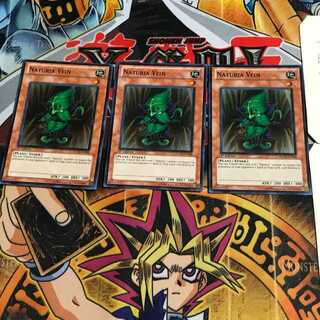 英語版 ナチュル・ナーブ 1 スーパー 3枚セット てら