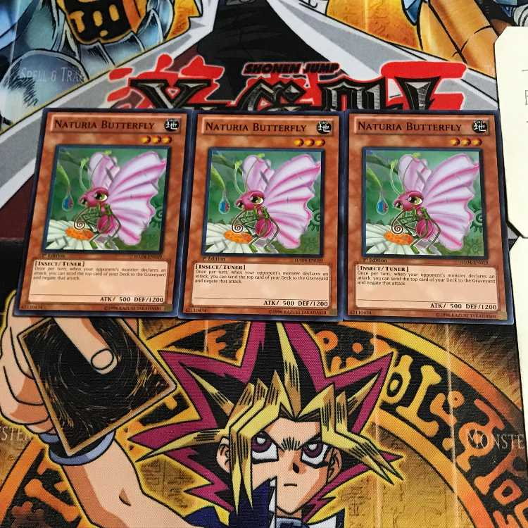 英語版 ナチュル・バタフライ 1 スーパー 3枚セット てら