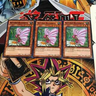 英語版 ナチュル・バタフライ 1 スーパー 3枚セット てら