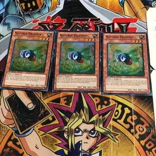 英語版 ナチュル・フライトフライ 1 スーパー 3枚セット てら