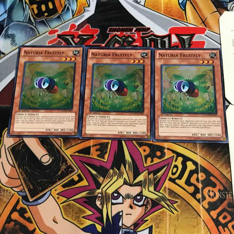 英語版 ナチュル・フライトフライ 2 スーパー 3枚セット てら