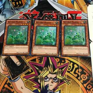 英語版 ナチュル・マンティス 2 スーパー 3枚セット てら