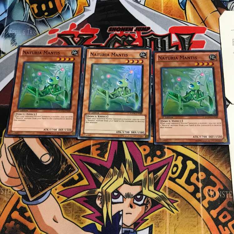 英語版 ナチュル・マンティス 3 スーパー 3枚セット てら