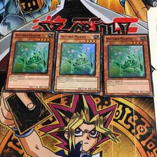 英語版 ナチュル・マンティス 3 スーパー 3枚セット てら