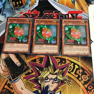 英語版 ナチュル・レディバグ 3 スーパー 3枚セット てら