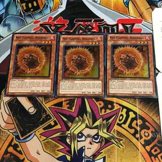 英語版 ネオフレムベル・ヘッジホッグ 1 スーパー 3枚セット てら