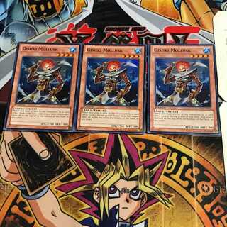 英語版 リチュア・シェルフィッシュ 1 スーパー 3枚セット てら