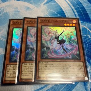 従騎士トゥルーデア スーパーレア JP017