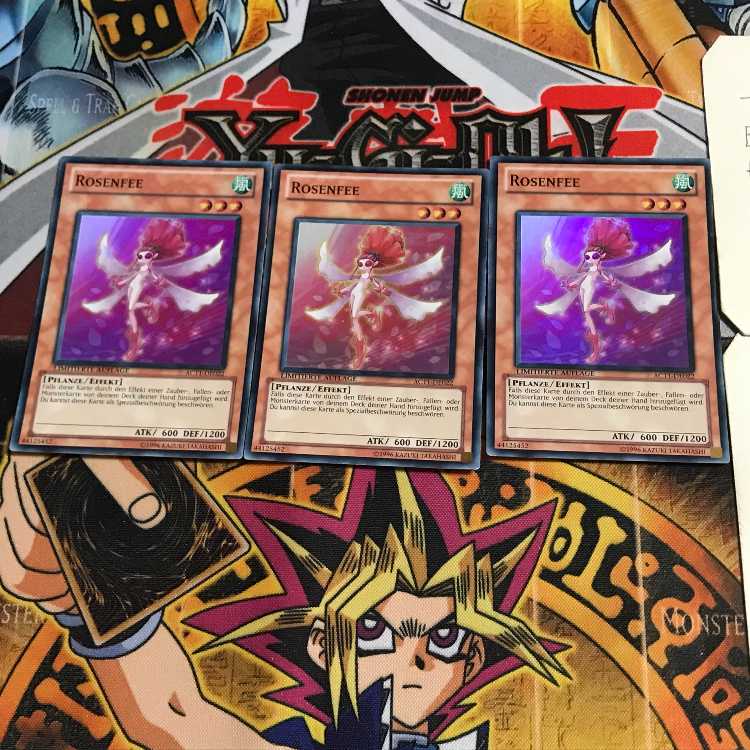 英語版 薔薇の妖精 1 スーパー 3枚セット てら