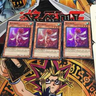 英語版 薔薇の妖精 1 スーパー 3枚セット てら