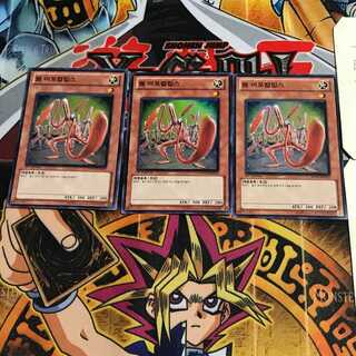 韓国版 ワーム・アポカリプス HA01 9 スーパー 3枚セット てら