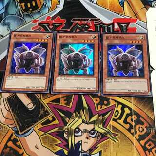 韓国版 ワーム・カルタロス HA01 7 スーパー 3枚セット てら