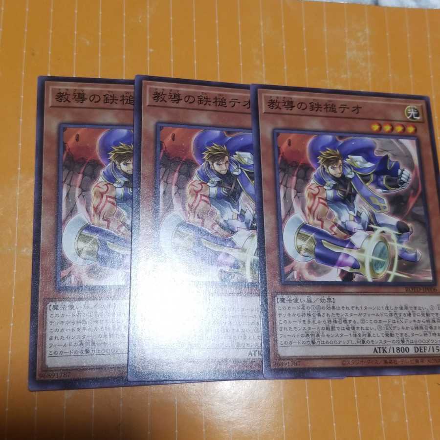 教導の鉄槌テオ