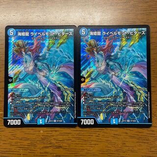 海姫龍 ライベルモット・ビターズ SR S7/S20