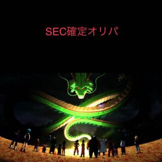 ドラゴンボールヒーローズ   専用品