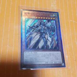 教導の騎士フルルドリス