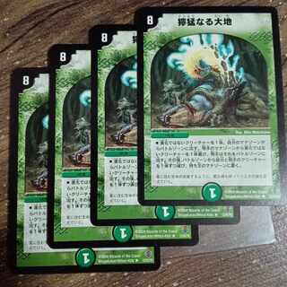 Fierce Earth R 12/55/Y6