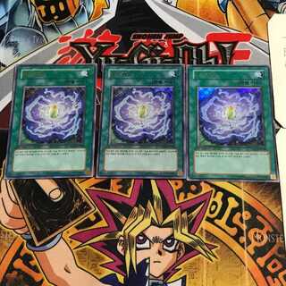 韓国版 ブルーメンブラット PP03 1 ウルトラ 3枚セット てら