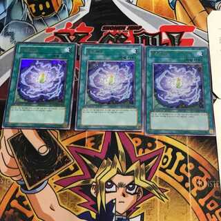 韓国版 ブルーメンブラット PP03 2 ウルトラ 3枚セット てら