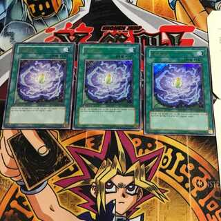 韓国版 ブルーメンブラット PP03 3 ウルトラ 3枚セット てら