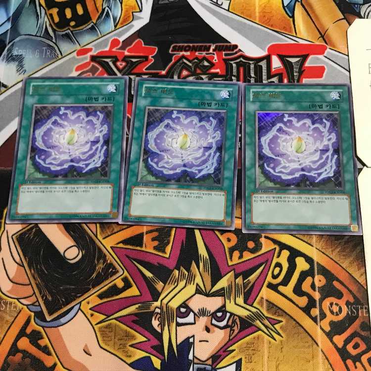 韓国版 ブルーメンブラット PP03 4 ウルトラ 3枚セット てら