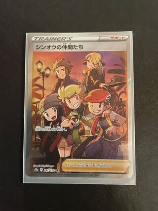 Shin-Oh's friends SR 247/172