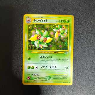 キレイハナ 旧裏