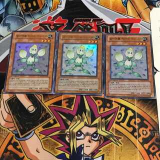 韓国版 E・HERO クノスペ PP03 8 ウルトラ 3枚セット てら