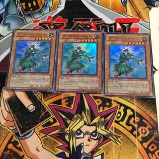 韓国版 E・HERO ブルーメ PP03 3 ウルトラ 3枚セット てら