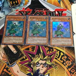 韓国版 E・HERO ブルーメ PP03 4 ウルトラ 3枚セット てら