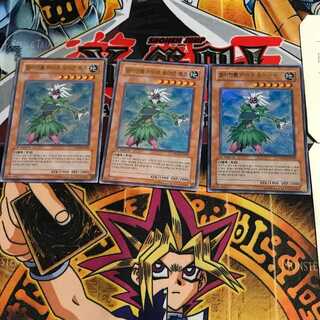 韓国版 E・HERO ブルーメ PP03 5 ウルトラ 3枚セット てら