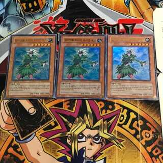 韓国版 E・HERO ブルーメ PP03 8 ウルトラ 3枚セット てら