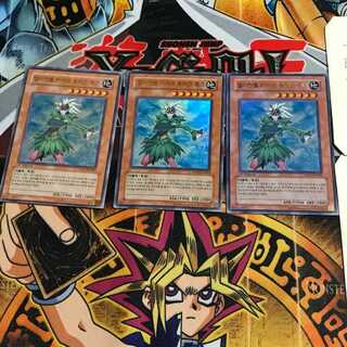 韓国版 E・HERO ブルーメ PP03 10 ウルトラ 3枚セット てら