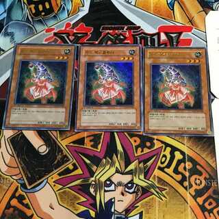 韓国版 カードエクスクルーダー PP03 5 ウルトラ 3枚セット てら