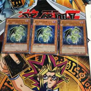 韓国版 ランサー・ドラゴニュート PP02 2 ウルトラ 3枚セット てら