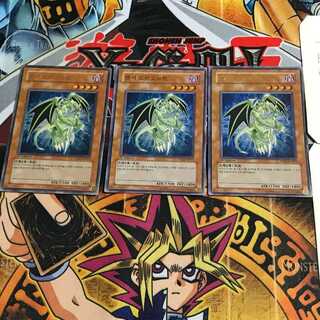 韓国版 ランサー・ドラゴニュート PP02 5 ウルトラ 3枚セット てら