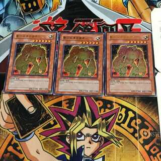 韓国版 黄金のホムンクルス PP04 7 ウルトラ 3枚セット てら