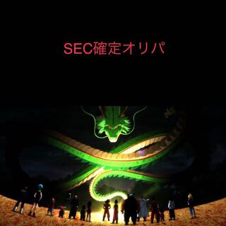 ドラゴンボールヒーローズ  専用品