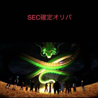 ドラゴンボールヒーローズ   専用品